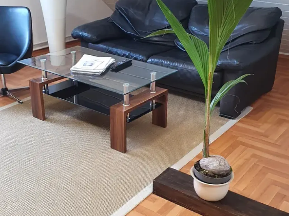 Schöne, ruhige voll möblierte Dachgeschosswohnung- 40 m², 2 Zimmer +Küche+Bad- sofort bezugsbereit