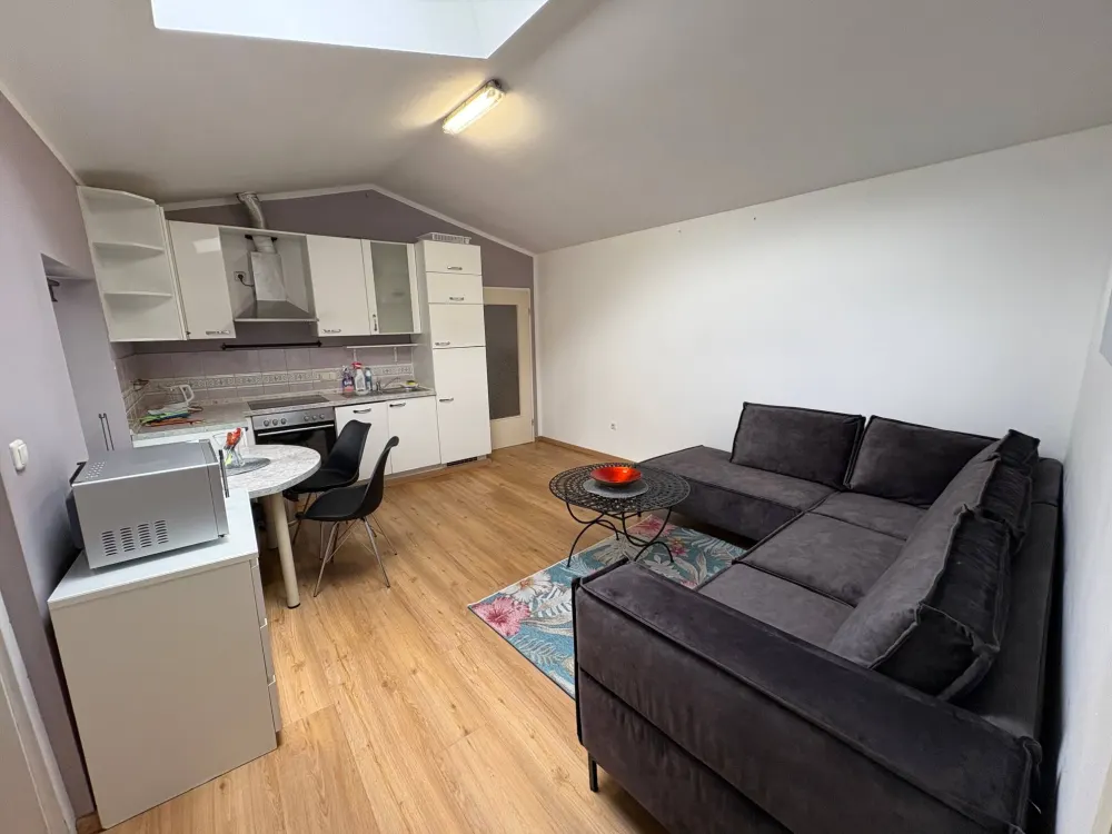 2,5 Zimmer Wohnung / 2er WG tauglich
