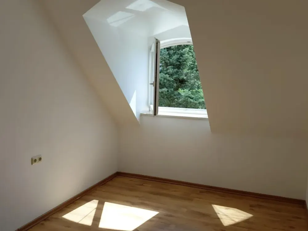 Living with Character: 1.5-Room Apartment in Dresden