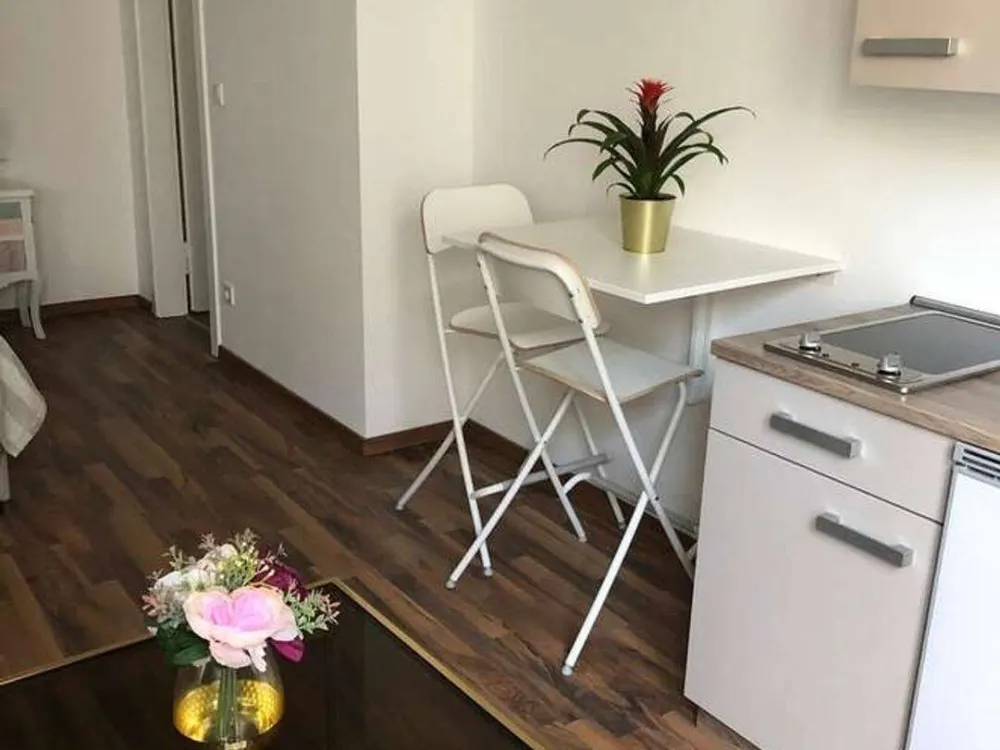 Luxuriös Apartment mitten in der City
