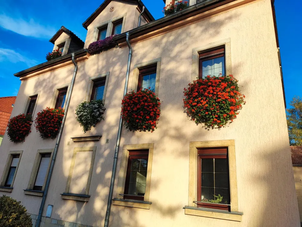 Schöne helle 2-Raumwohnung in Copitz