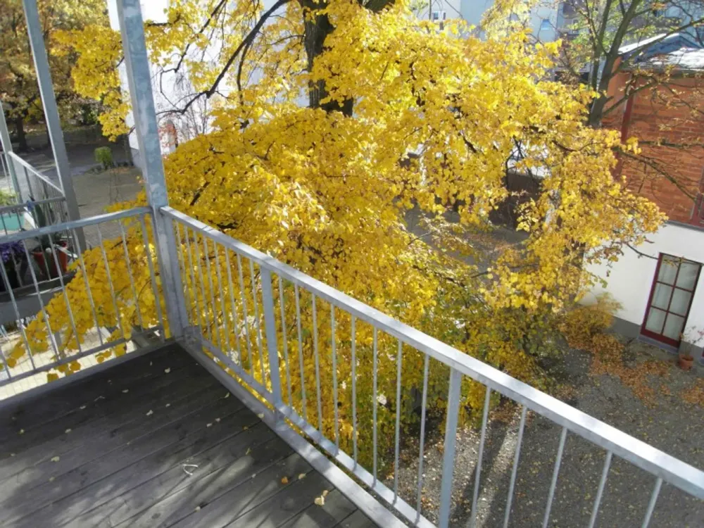 Ruhig gelegene 2-Zimmerwohnung mit Balkon in Plagwitz!