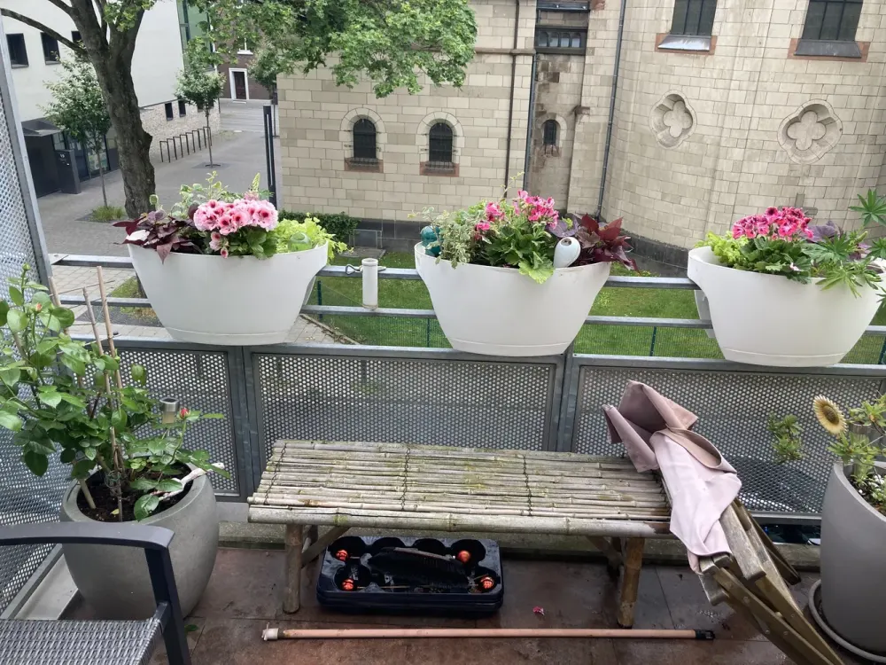Gemütliche Wohnung in ruhiger Lage