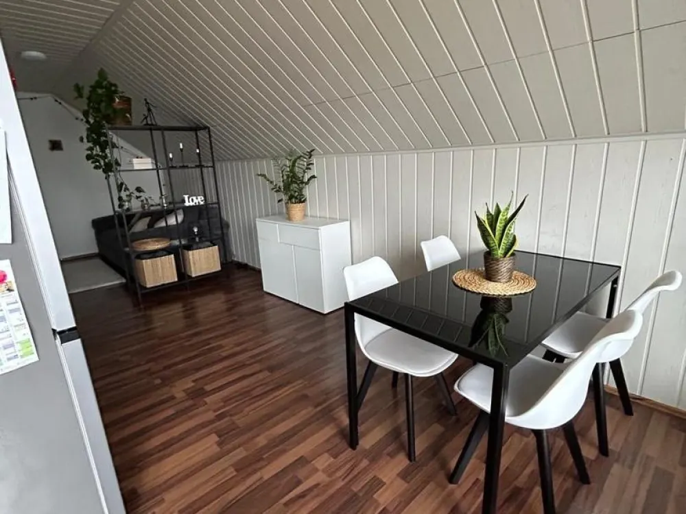 2.5 Rooms Seeking Empathetic Residents
