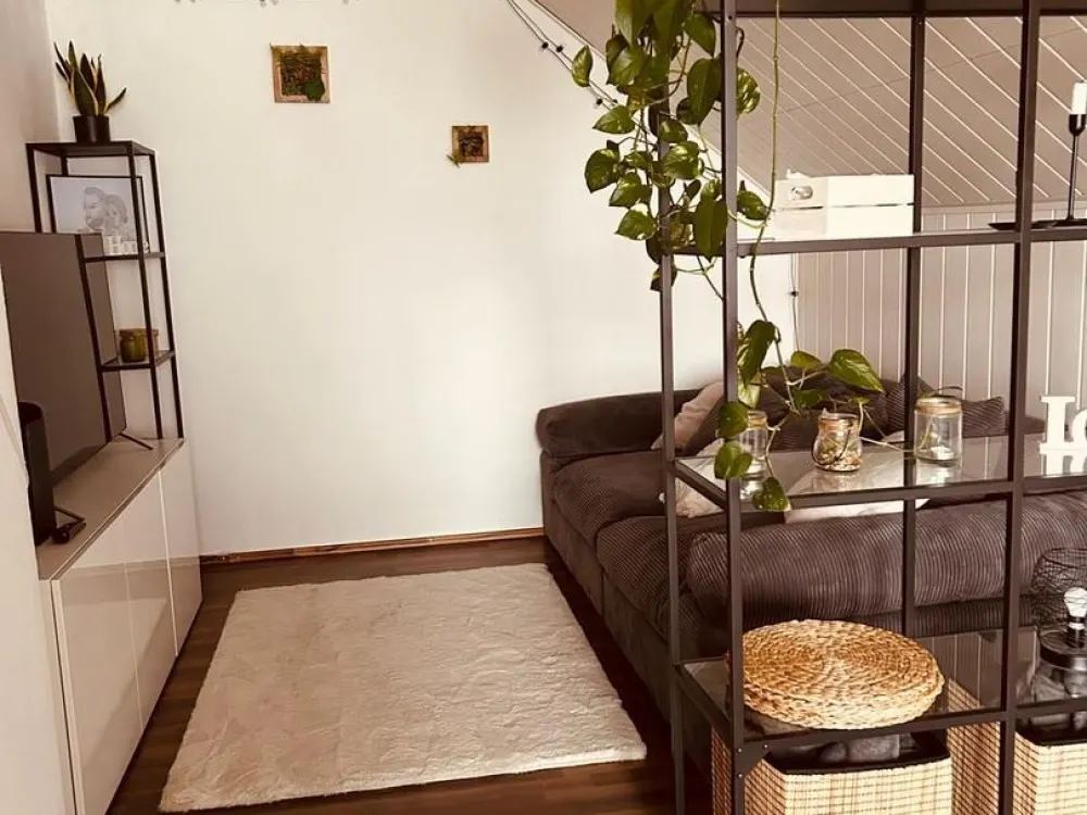 2.5 Rooms Seeking Empathetic Residents