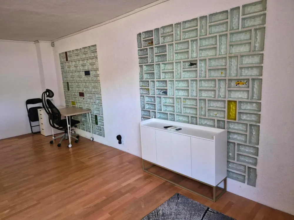 2,5 Zimmer möblierte Souterrainwohnung - 100 m² - FFM Praunheim