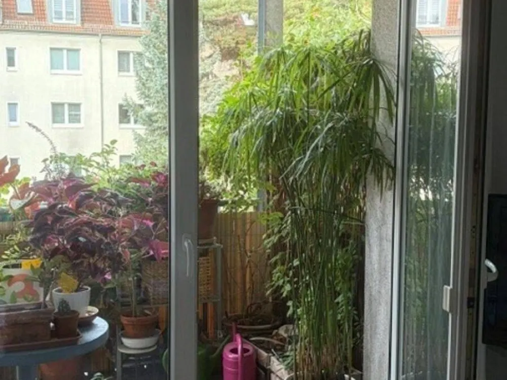 Kreative Leute aufgepasst, hübsche zwei Zimmer mit Wohnküche und Balkon!