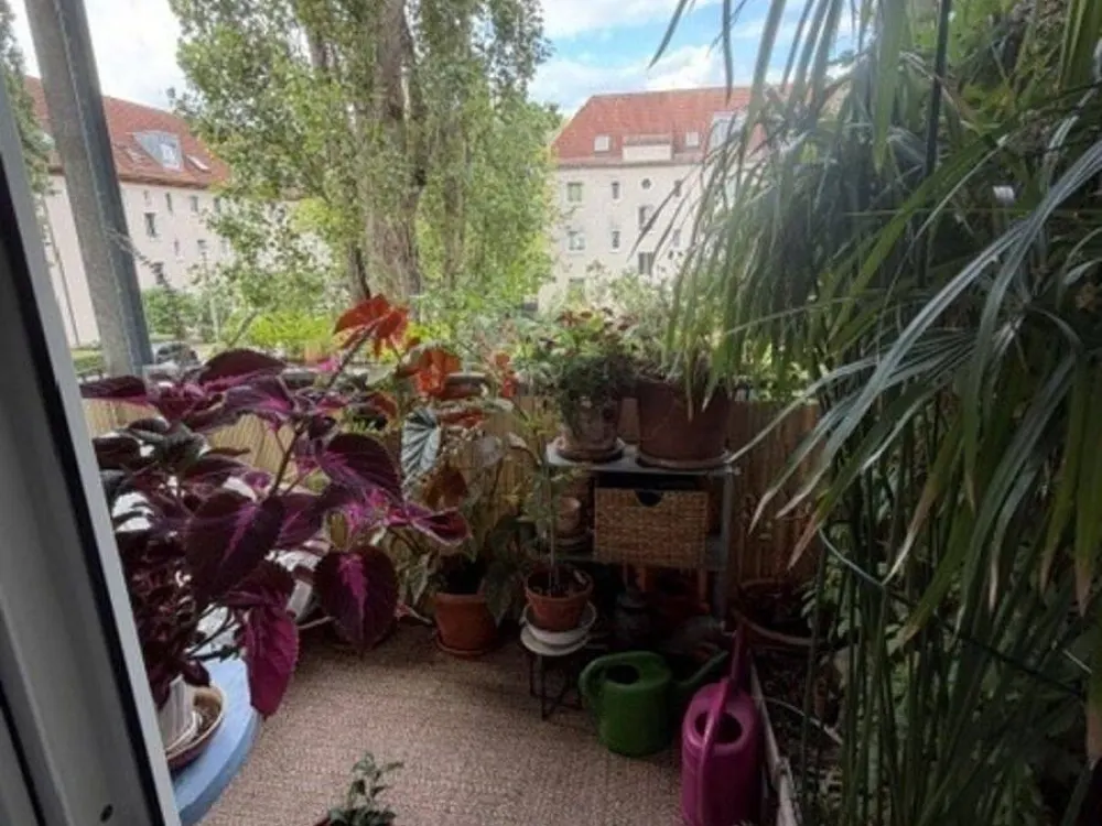 Kreative Leute aufgepasst, hübsche zwei Zimmer mit Wohnküche und Balkon!