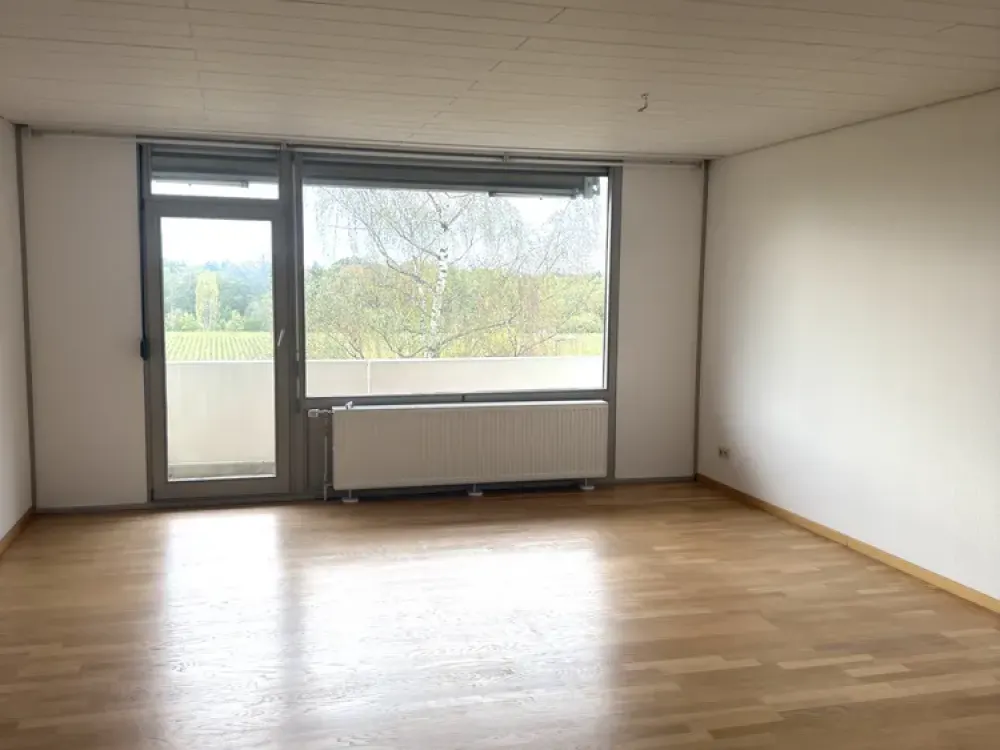 Helle 3-Zimmer-Wohnung: Modernisiertes Zuhause in München