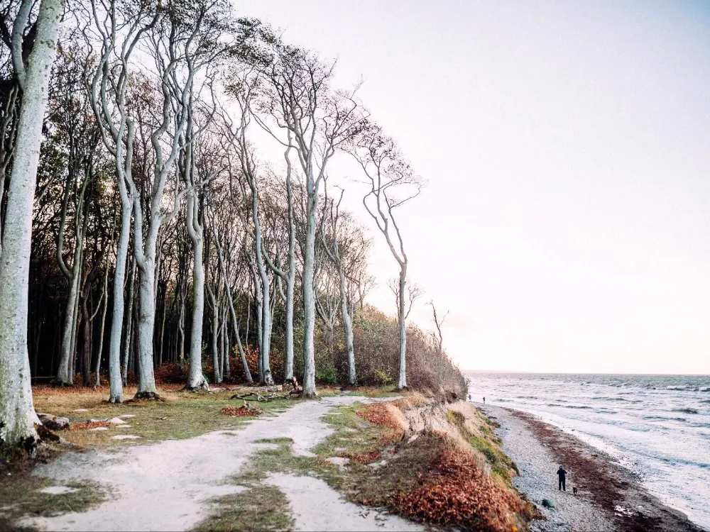 möblierte Wohnung an der Ostsee