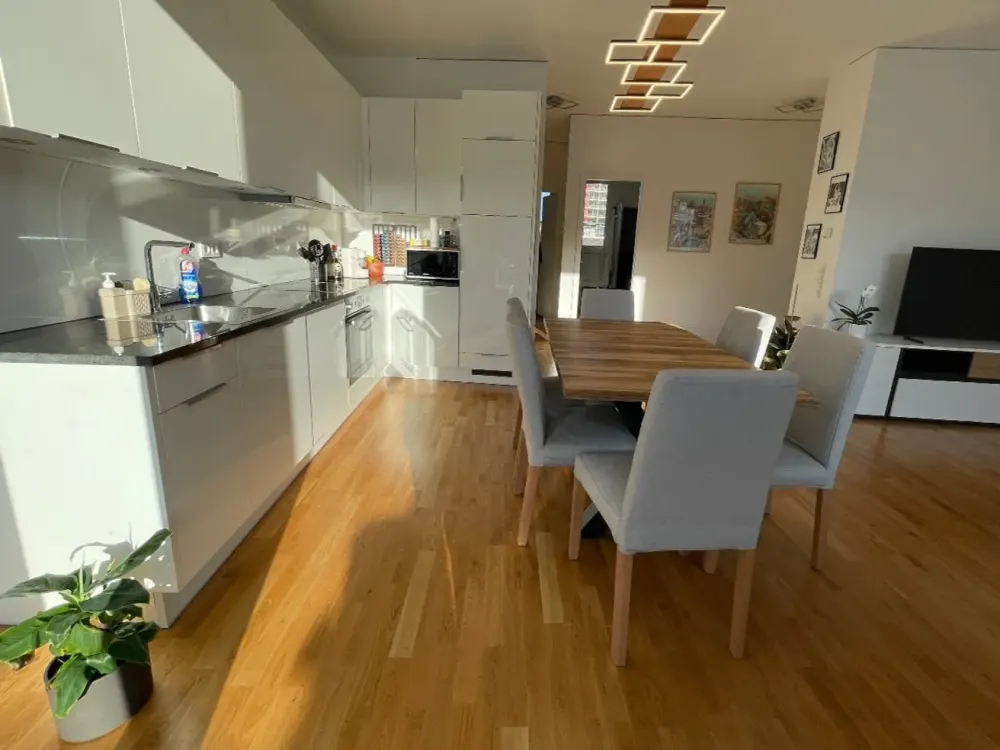 Möblierte Terrassenwohnung für 3J verfügbar / Furnished Terrace Apartment for 3Y subrent