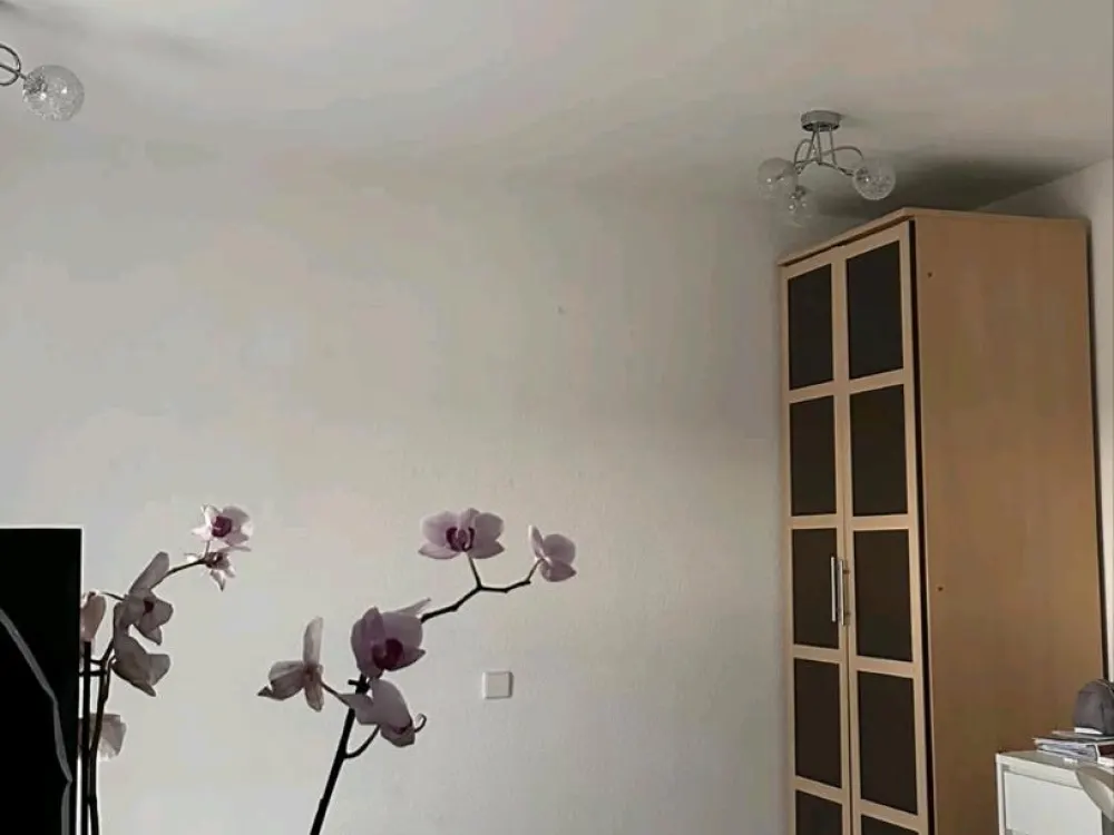 الباحث عن مستأجر جديد