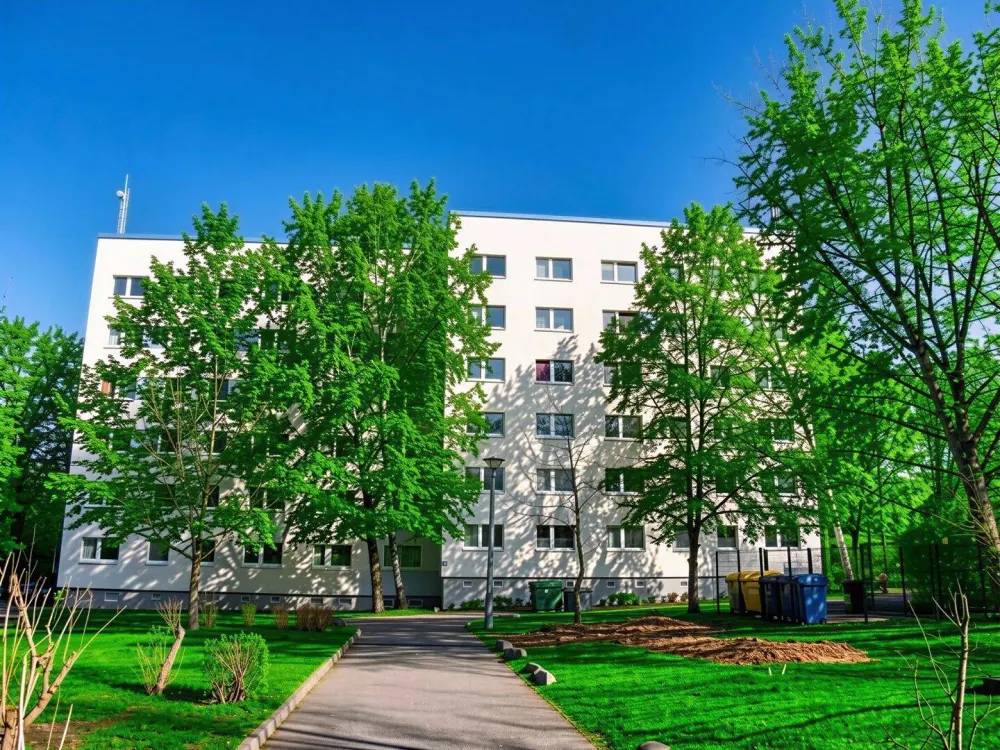 Frisch renovierte 1 Raum Wohnung sucht neuen Mieter