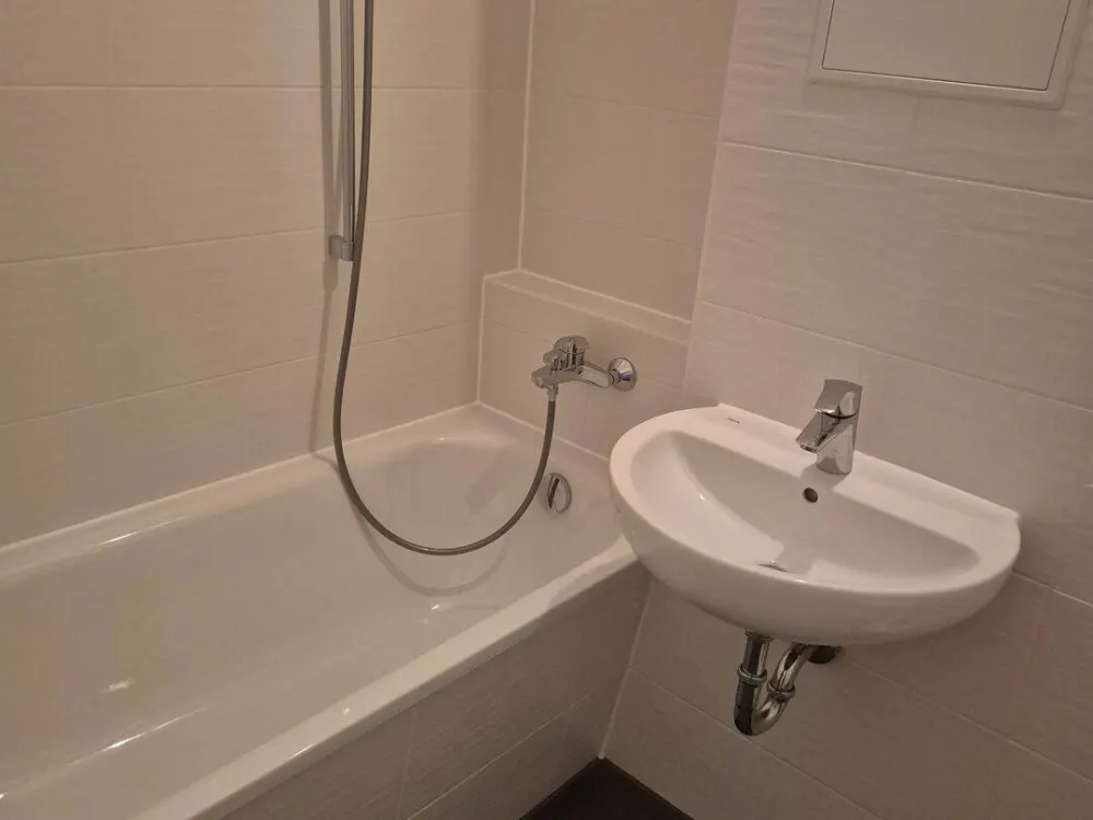 Frisch renovierte 1 Raum Wohnung sucht neuen Mieter