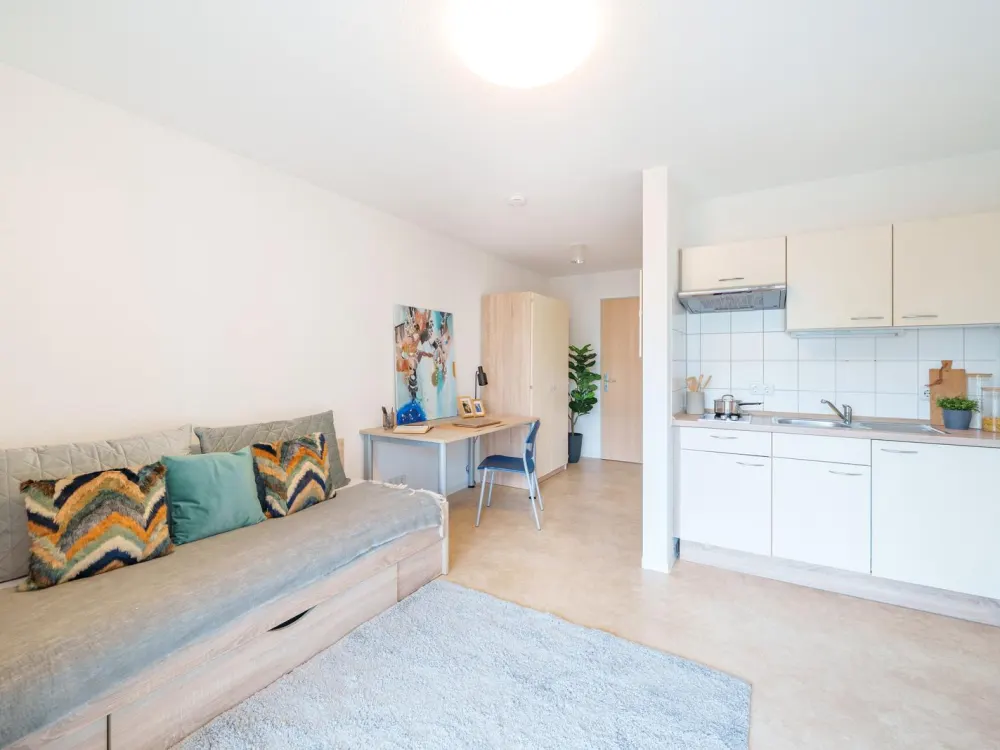 Zentral gelegenes 1‑Zimmer Apartment zur Miete in Dresden-Neustadt, Wentzel Dr.