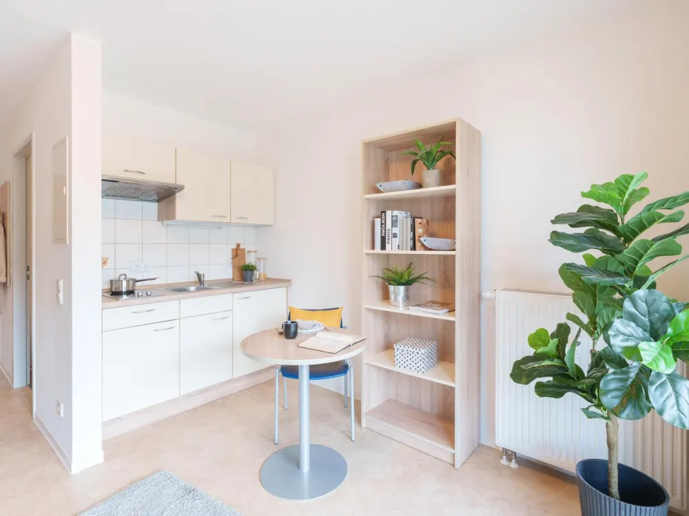 Zentral gelegenes 1‑Zimmer Apartment zur Miete in Dresden-Neustadt, Wentzel Dr.