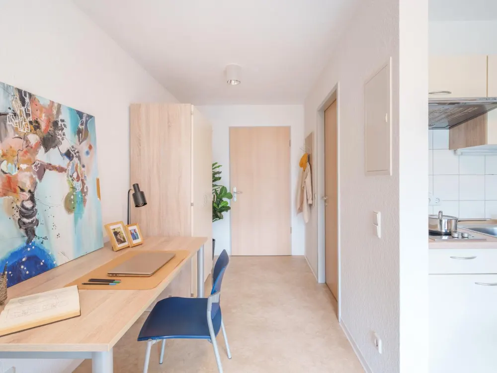 Zentral gelegenes 1‑Zimmer Apartment zur Miete in Dresden-Neustadt, Wentzel Dr.