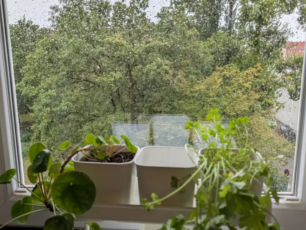 2-Zimmer-Wohnung + Kleiderschrank mit Möbelabkauf und Blick ins Grüne