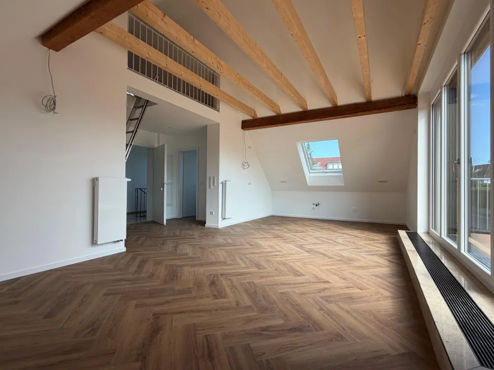 Attic Gem with Dreamy Roof Terrace