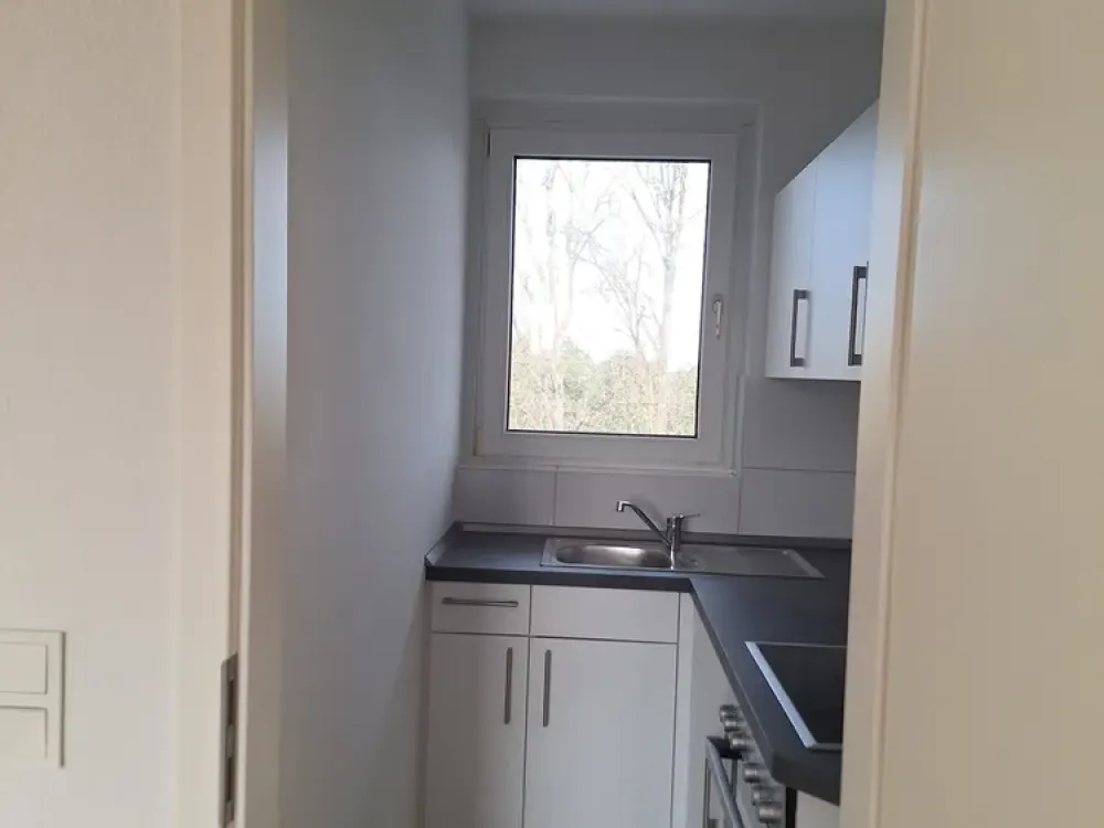 Modernized 1-Room Apartment for Rent in Wedel - Wentzel Dr.