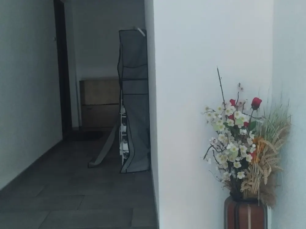 3 Zimmer Wohnung