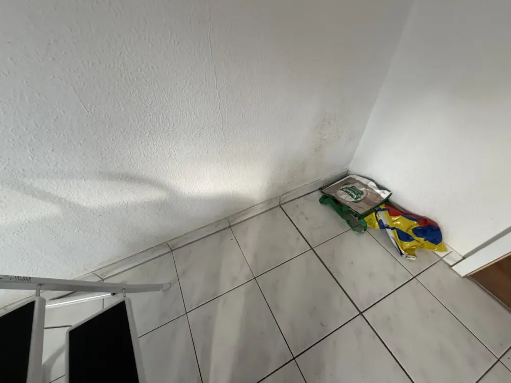 Wohnung mit Terrasse & Stellplatz