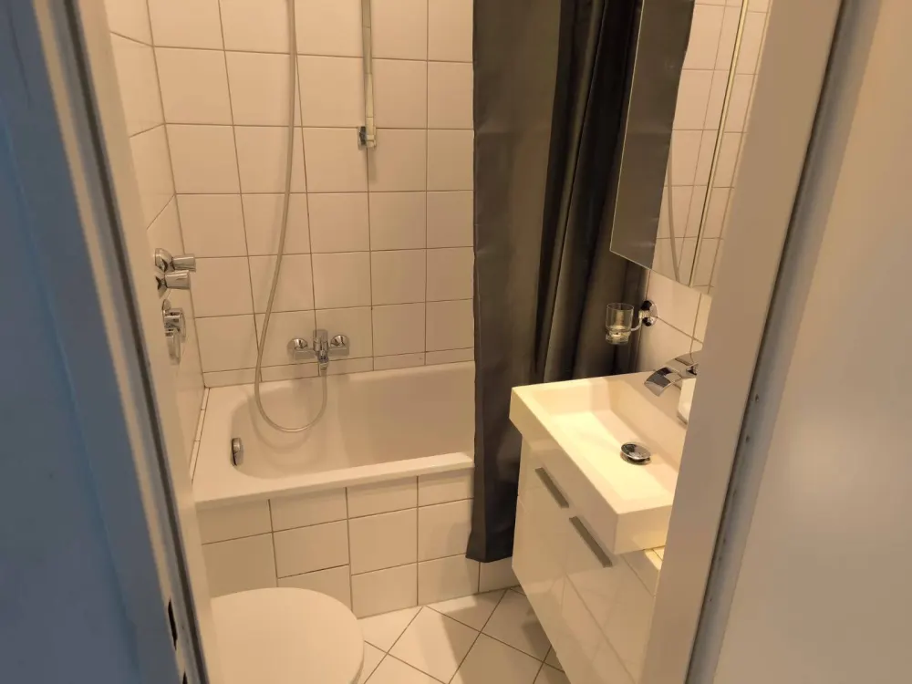 only 300 per WEEK - beautiful apartments in the Brentano Park/near the exhibition center - minimum rental period from 1 week - flexible notice