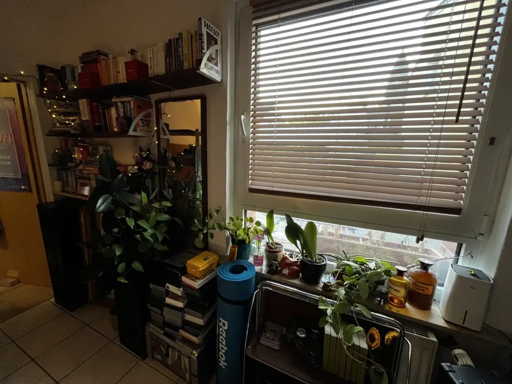 Sublet with 1.5 Rooms in Köln Bickendorf