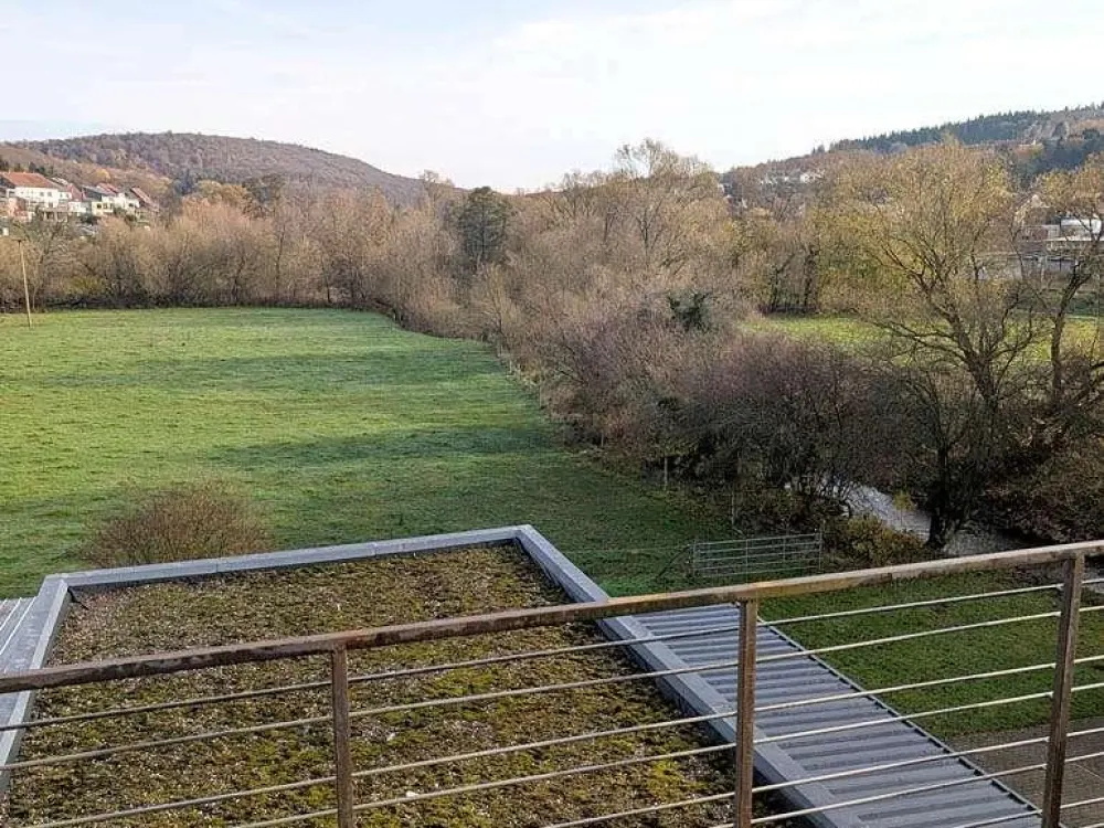 Helle 2,5-Zimmer-Wohnung mit tollem Blick ins Grüne in sehr guter Lage