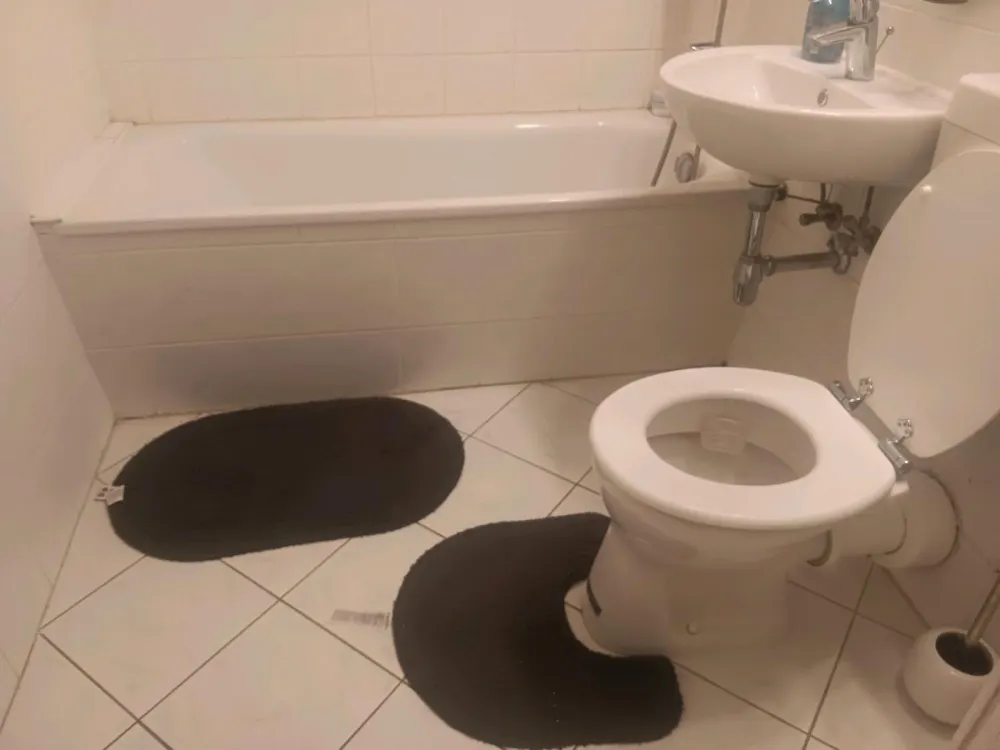 550 sublet