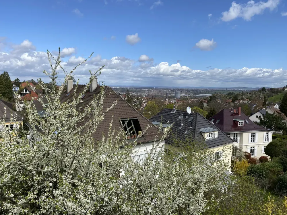 Modernisierte Wohnung mit Ausblick auf der Gänsheide