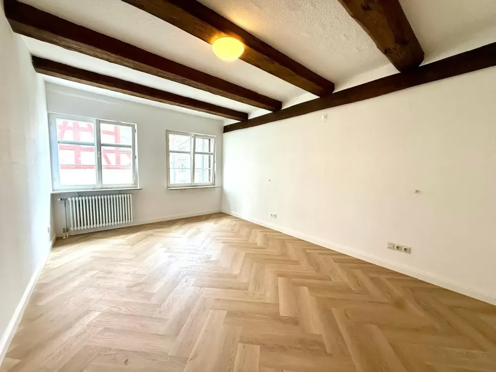 Breathtaking Castle and Lake View - 155m² Apartment in Meersburg