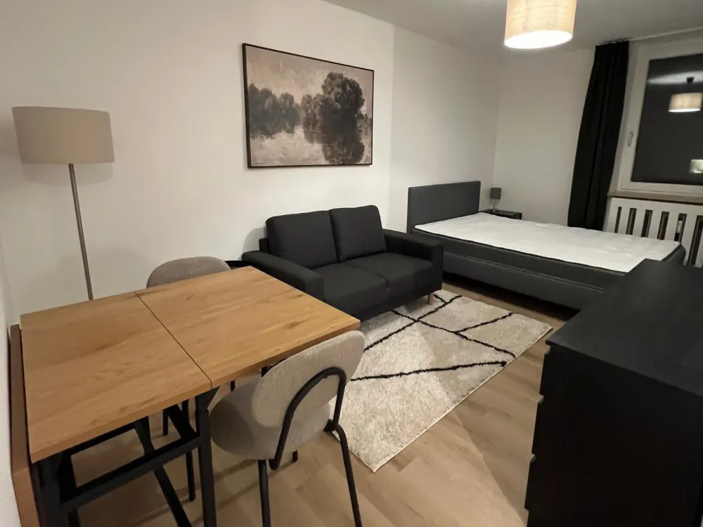 Renovated Apartment with Parking, Fully Furnished from 1.12.26