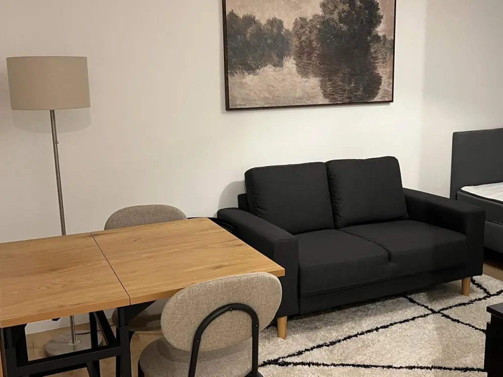 Renovated Apartment with Parking, Fully Furnished from 1.12.26