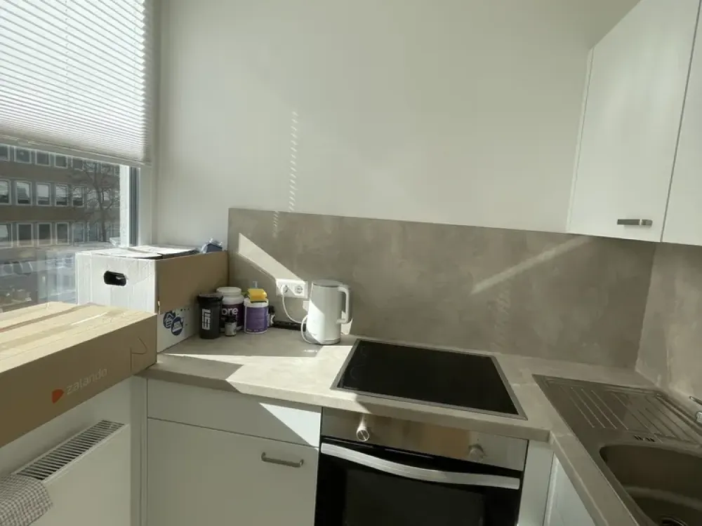 Extensively Modernized 1-Room Apartment with Built-in Kitchen and Balcony