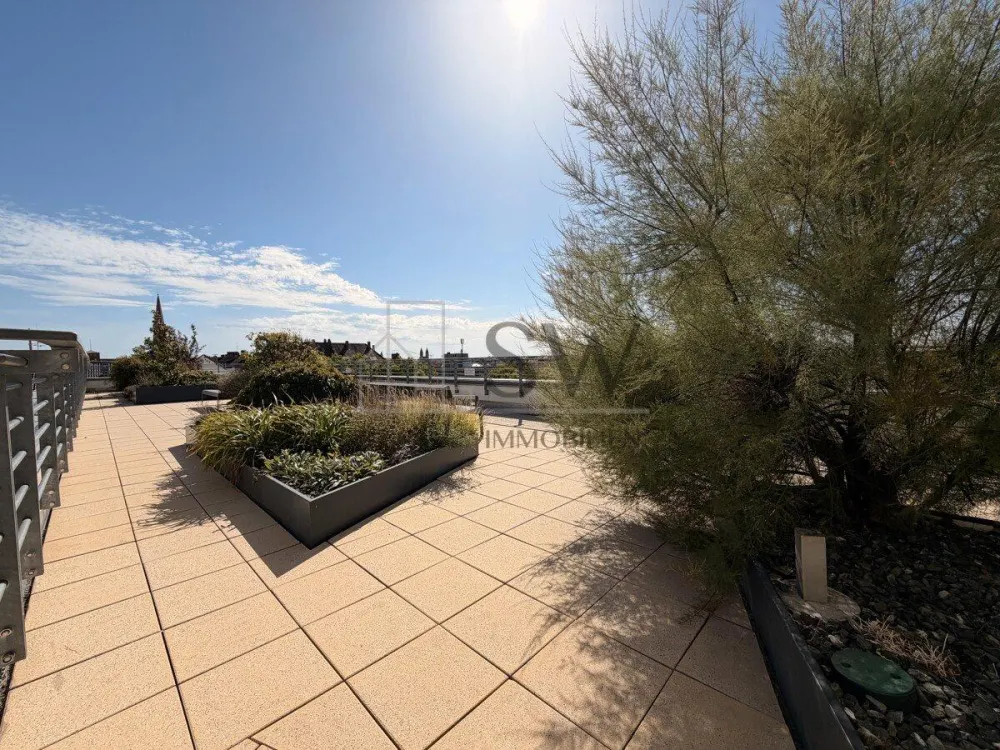 Stylish Living from 60! 2-Room Senior Apartment for Rent