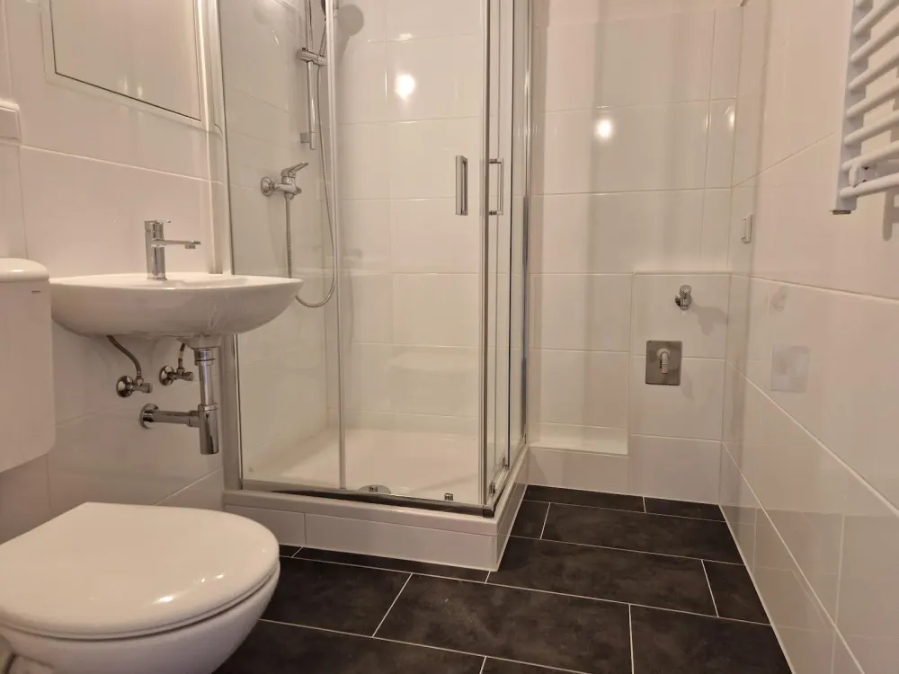 Ab 15.11.2026***Frisch renovierte 1-Zimmer-Wohnung mit Duschbad!