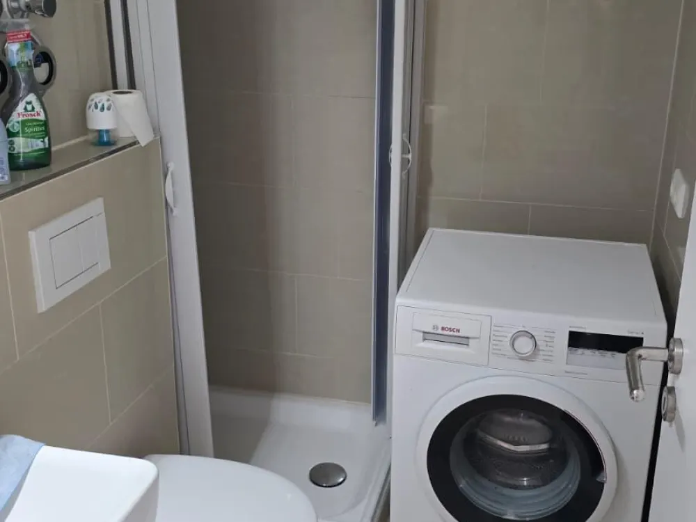 Möbliertes 1-Zimmer-Apartment - Frankfurt-Nied