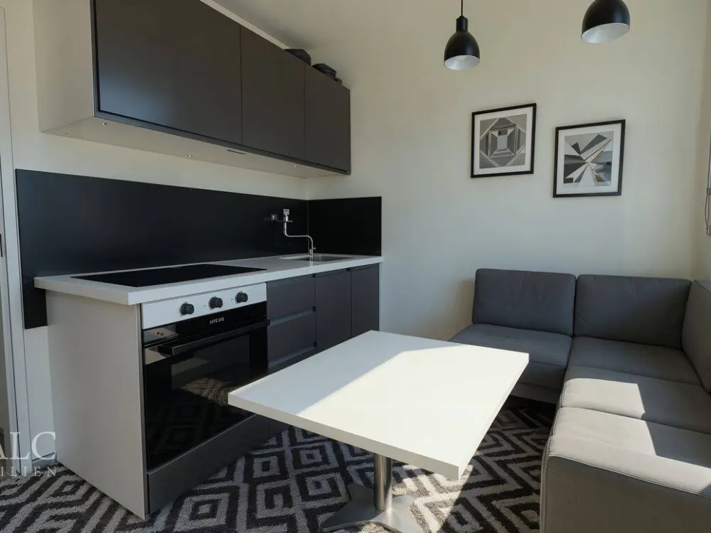 Voll möblierte 1-Zimmer-Wohnung mit Gartenmitnutzung - hell, modern & zentral!