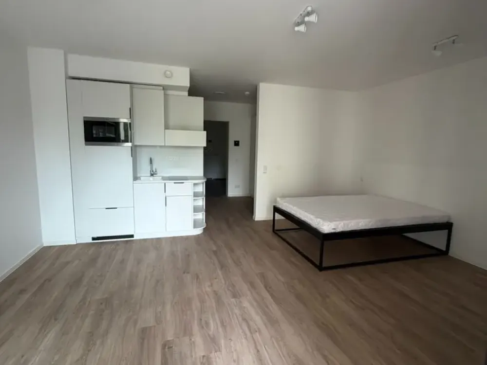 Large 1-Room Apartment with Large Balcony, Built-in Kitchen and Elevator in Erlangen