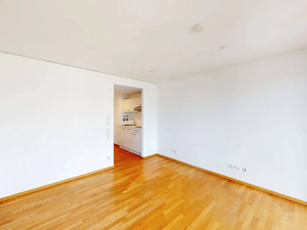 Modernes 1-Zimmer-Apartment mit Loggia und tollem Ausblick