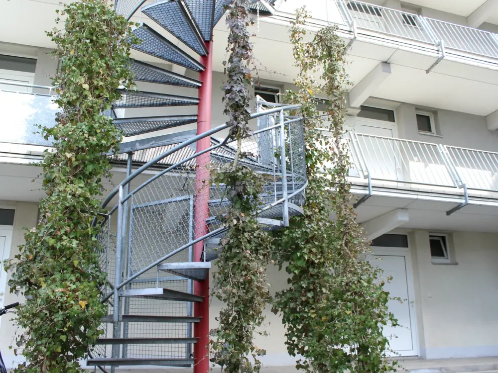 3.16 // 2-Room Apartment in Bruck