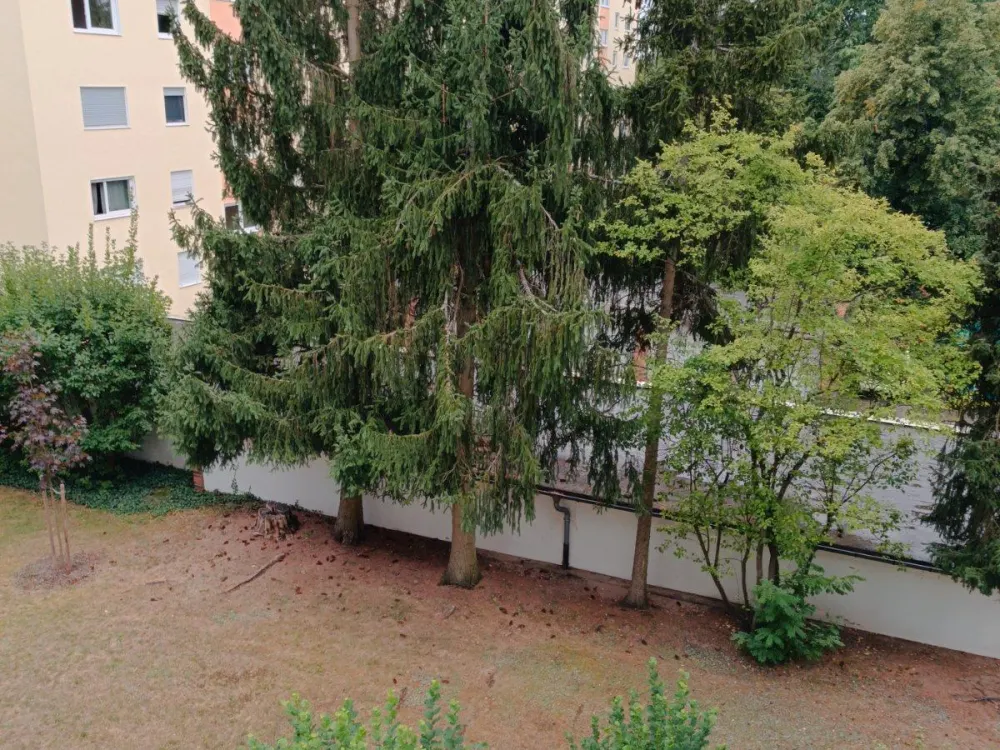 Frisch renovierte, helle 80-m²-Wohnung in Sieglitzhofstraße / Er