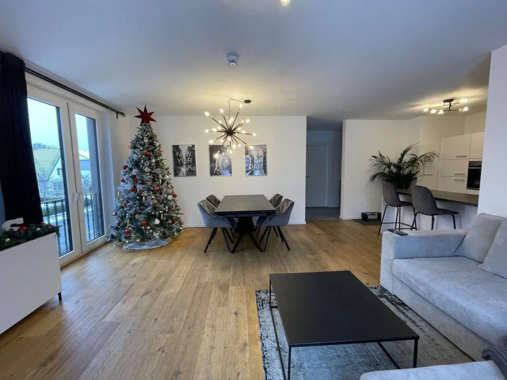 NEARLY NEW 2-ROOM APARTMENT - with large roof terrace from 01.11.2026