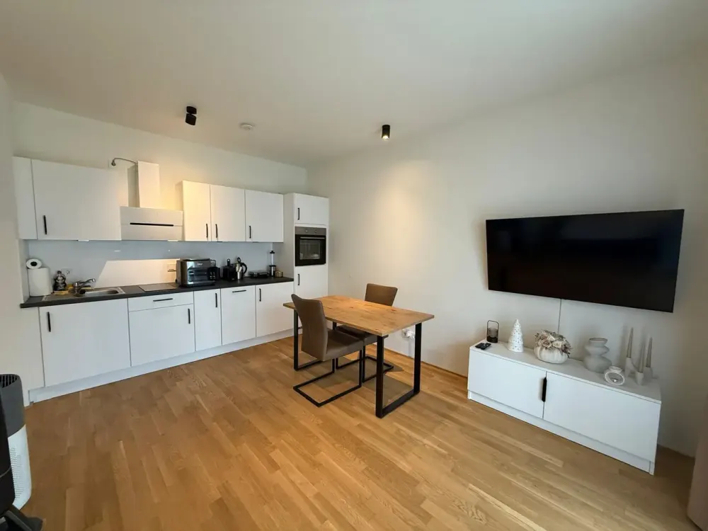 Mödernes möbliertes 1-Zimmer-Apartment mit Terrasse