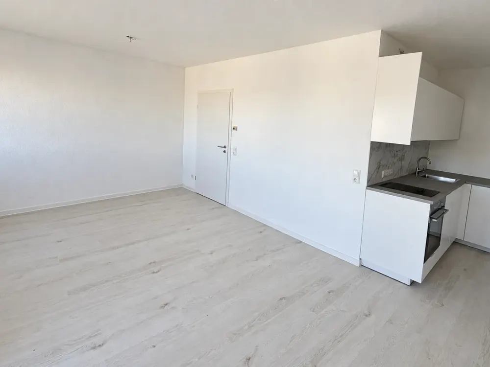 Freshly Renovated Apartment with New Kitchen, New Shower Bathroom and West Balcony
