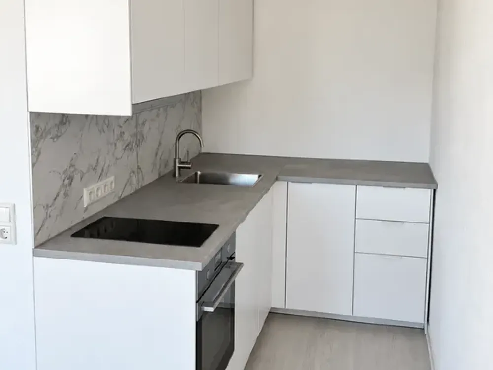 Freshly Renovated Apartment with New Kitchen, New Shower Bathroom and West Balcony