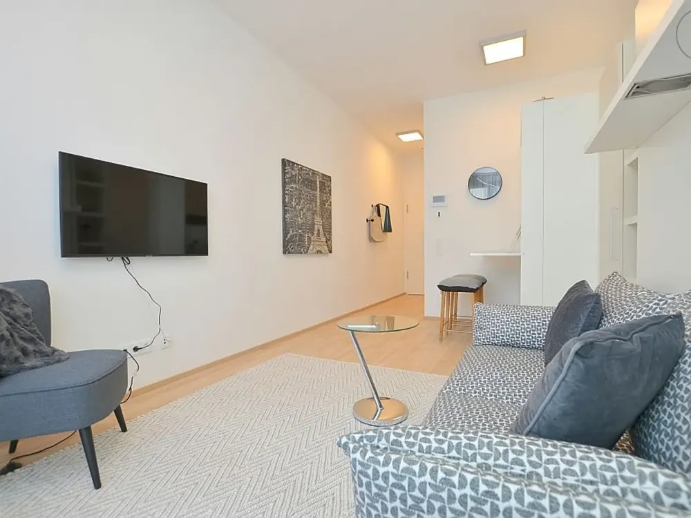 Modern furnished micro-apartment in a new building in Ludwigsburg
