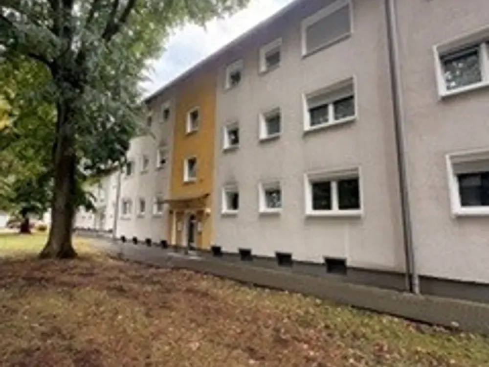 Renovierte EG- Wohnung im ruigen Holsterhausen!