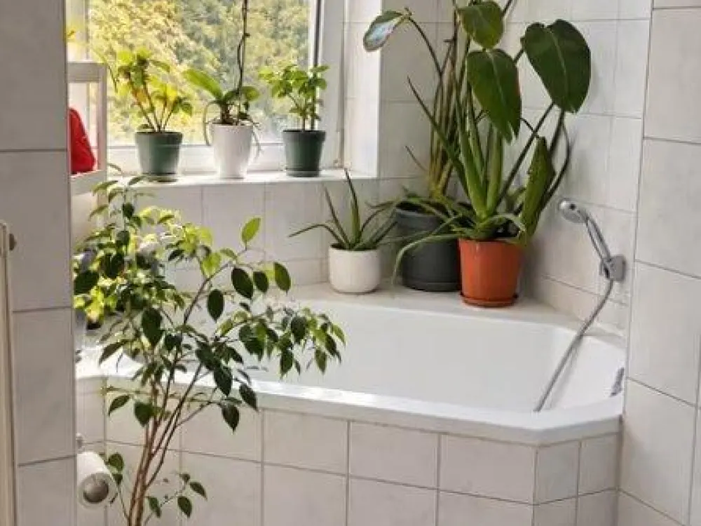 2-Zi-Wohnung in Leipzig 04347, ab 01.10 / Besichtigung am 18.09